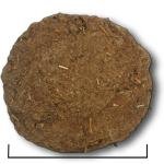 Desi Cow Dung Cake (6 pic) {Gober ke Uple}