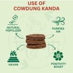 Desi Cow Dung Cake (6 pic) {Gober ke Uple}