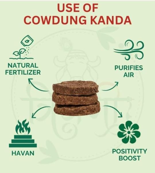 Desi Cow Dung Cake (6 pic) {Gober ke Uple}