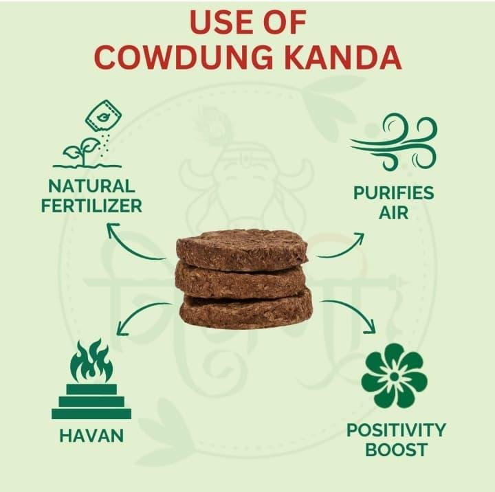 Desi Cow Dung Cake